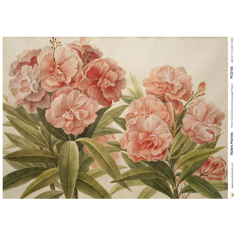 Carta da Découpage "Muller’s Peonies" in Carta di Riso Posh chalk 28,5x40cm