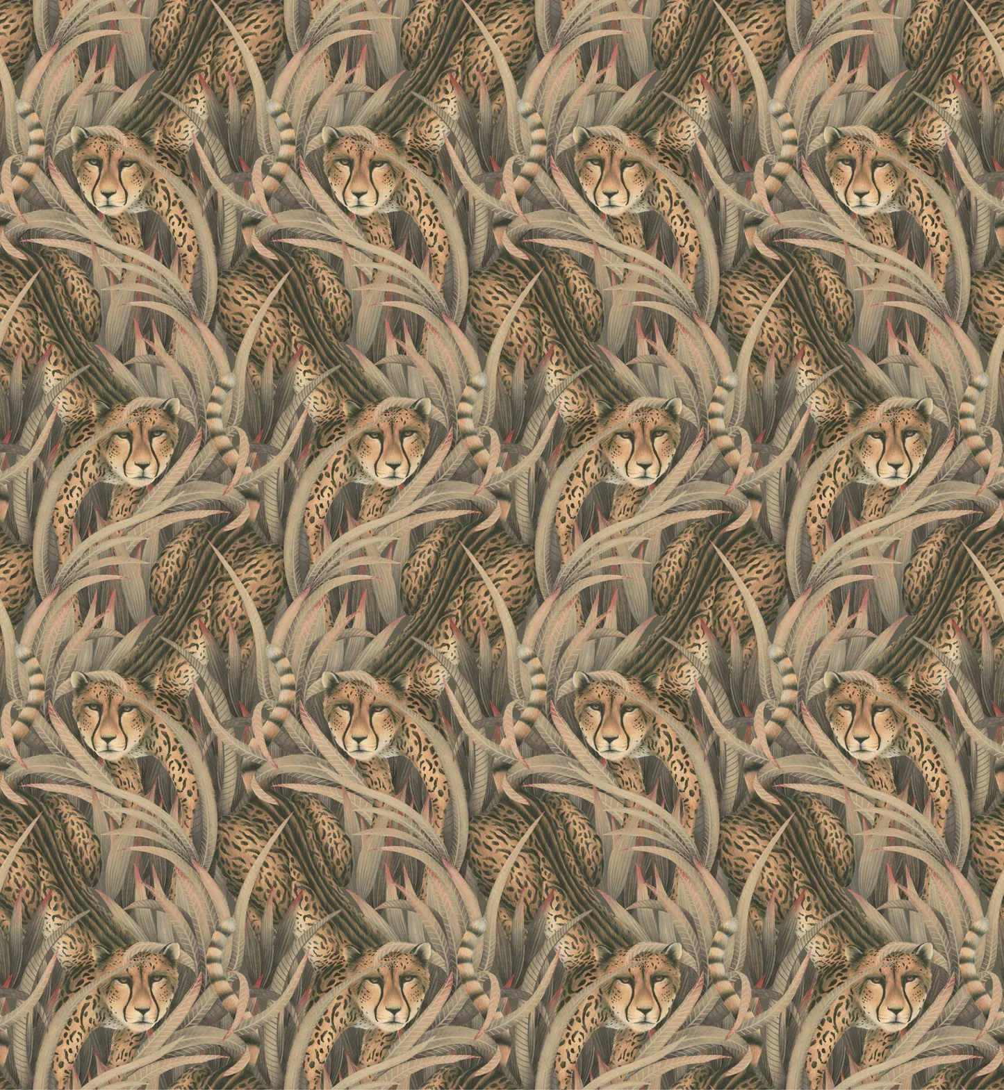 Carta da Parati “Cheetah Prowl grigio" | COLE & SON ARDMORE BAOBAB