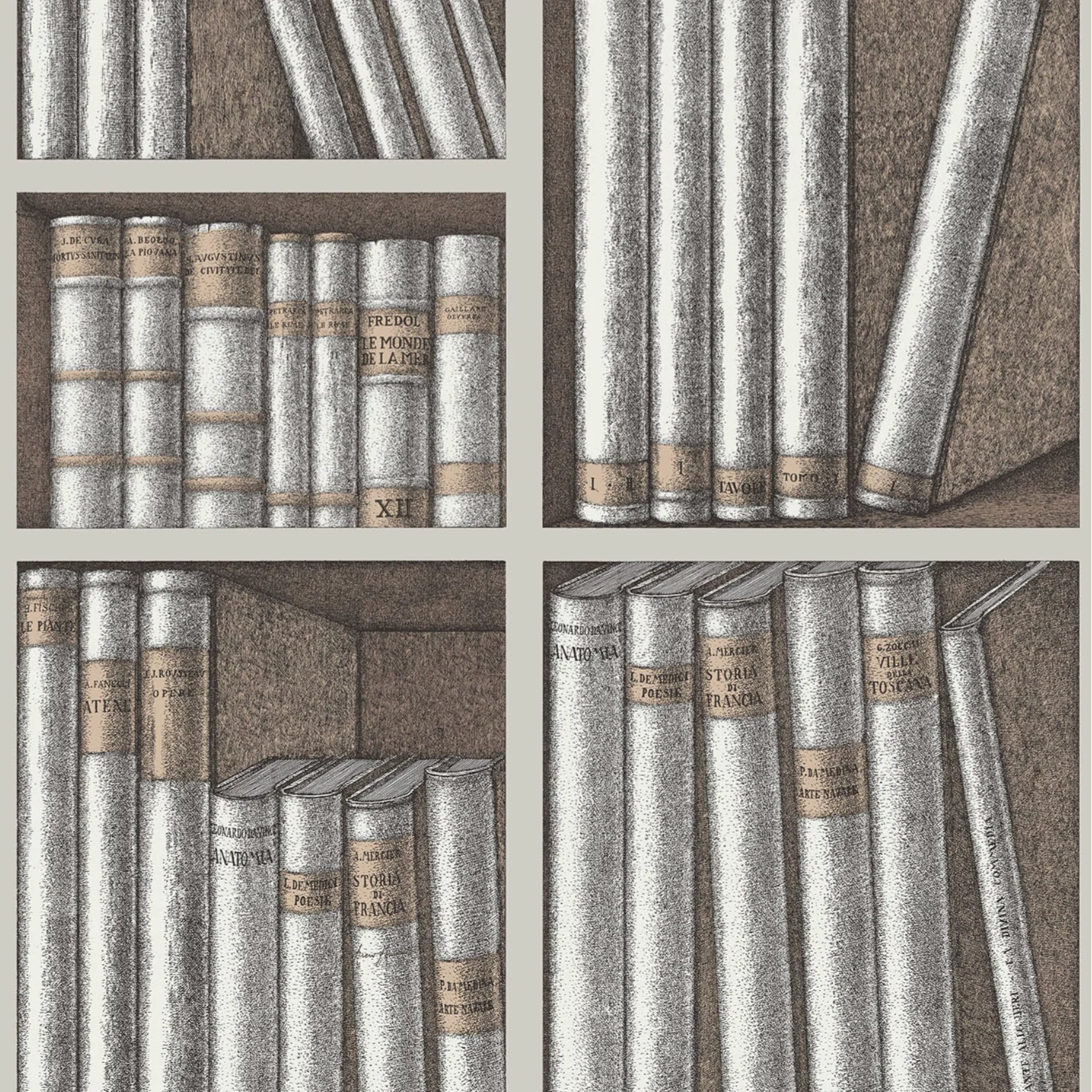 Carta da Parati "Ex libris grigio" Fornasetti | COLE & SON