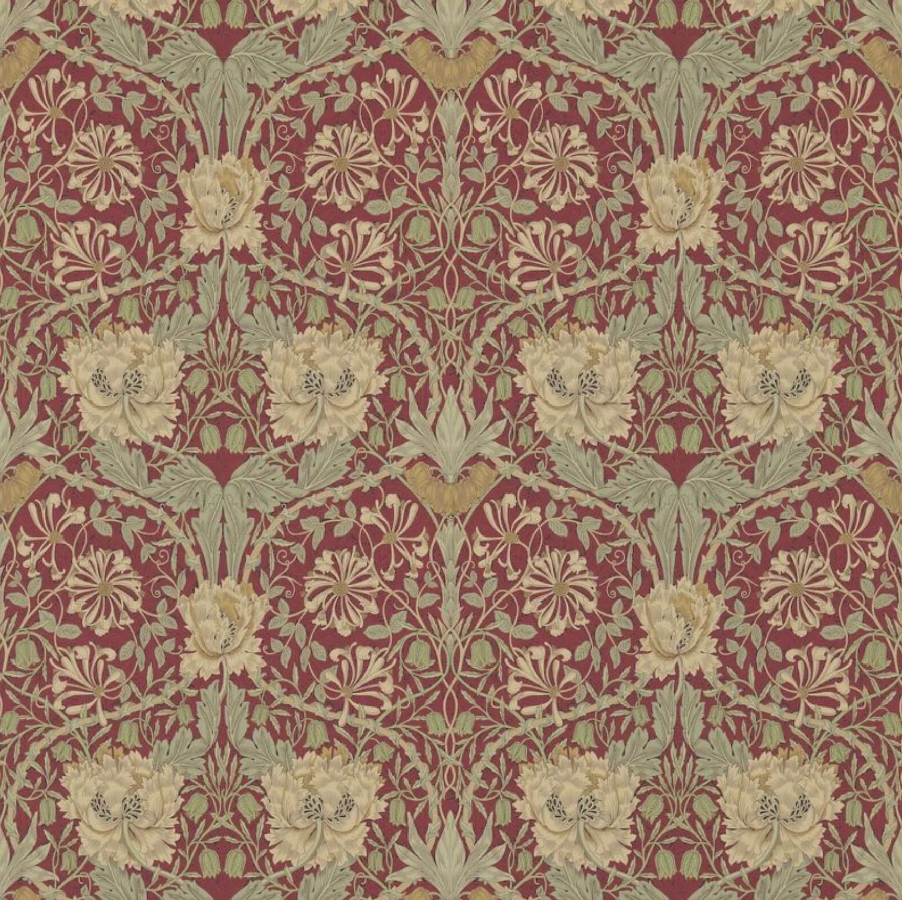 Carta da parati “Honeysuckle & Tulip” rossa, catalogo Morris & Friends a metraggio o rotolo