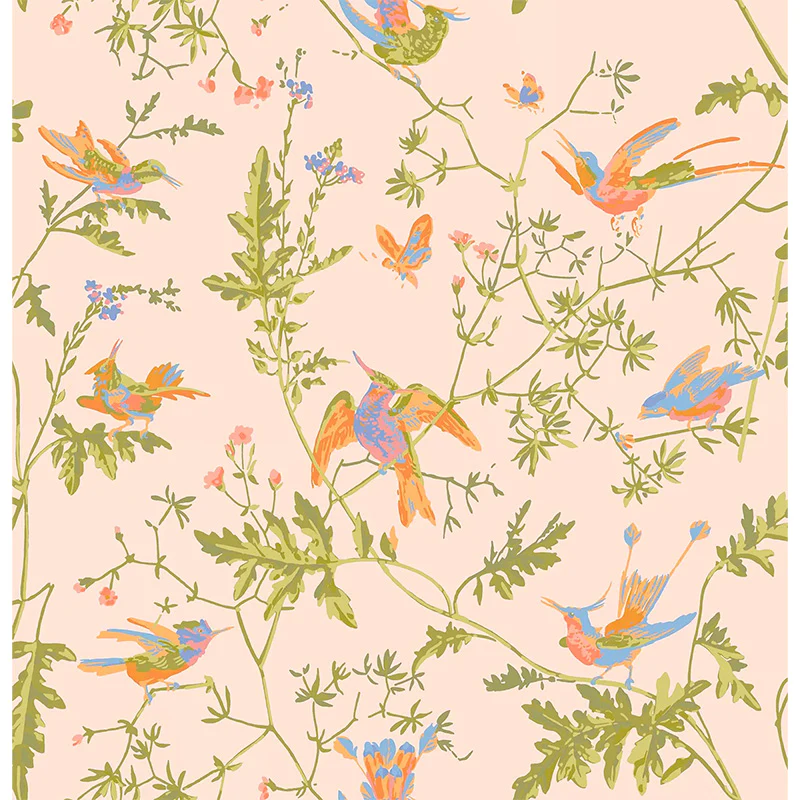 Carta da Parati "Hummingbirds Tangerine & Olive on Blush" Selection of Hummingbirds | COLE & SON