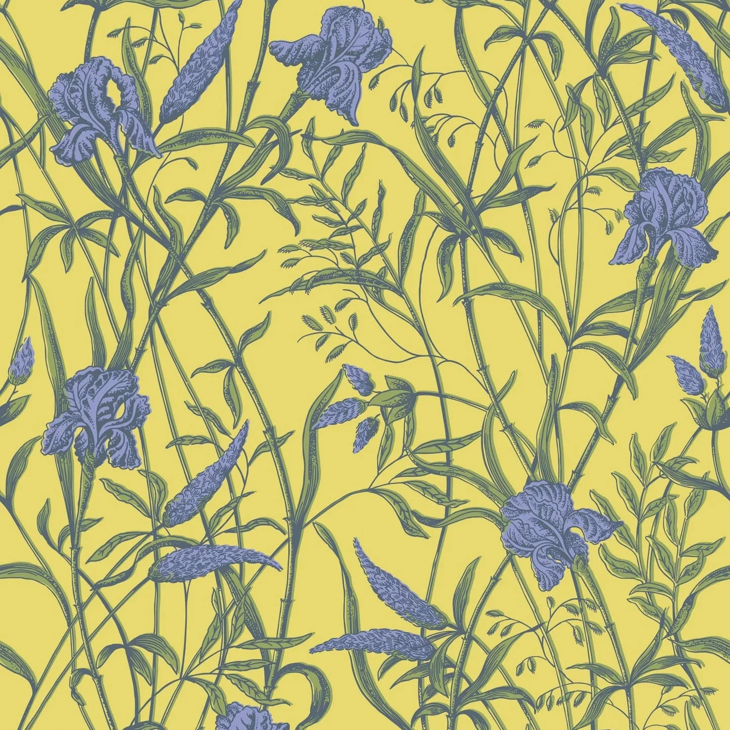 Carta da Parati “Iris giallo e viola" | COLE & SON CLASSICS VOL. 2