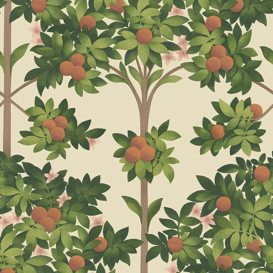 Carta da Parati “Orange blossom arancio e verde” | COLE & SON