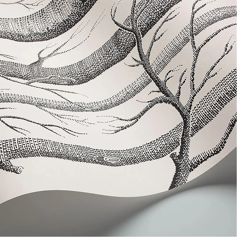 Carta da Parati "WOODS BIANCO & NERO" The Contemporary | COLE & SON - Image 2