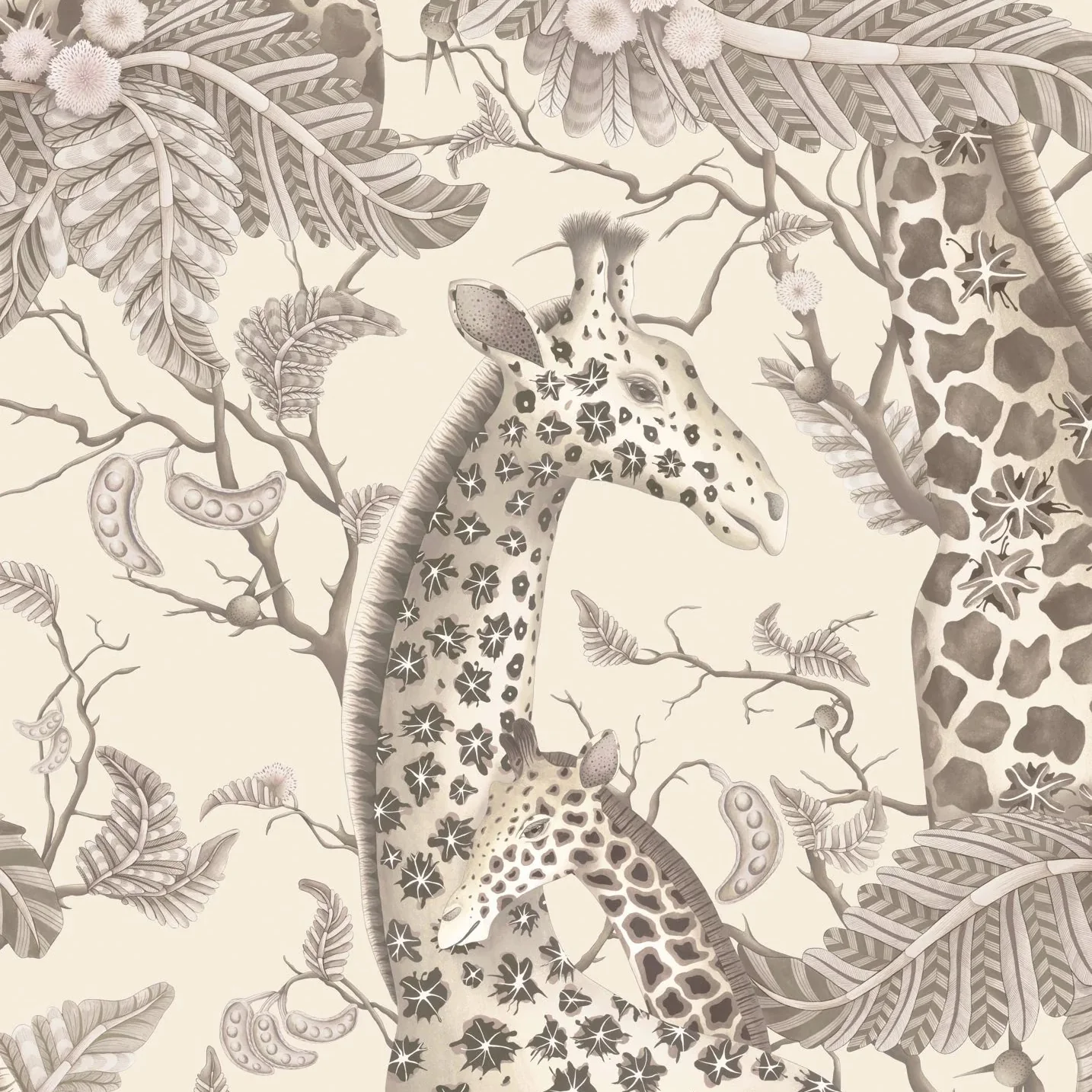 Carta da Parati “Royal Giraffe grigio" | COLE & SON ARDMORE BAOBAB