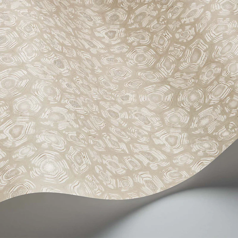 Carta da Parati "SAVANNA SHELL BEIGE" Jabula-Ardmore | COLE & SON - Image 2