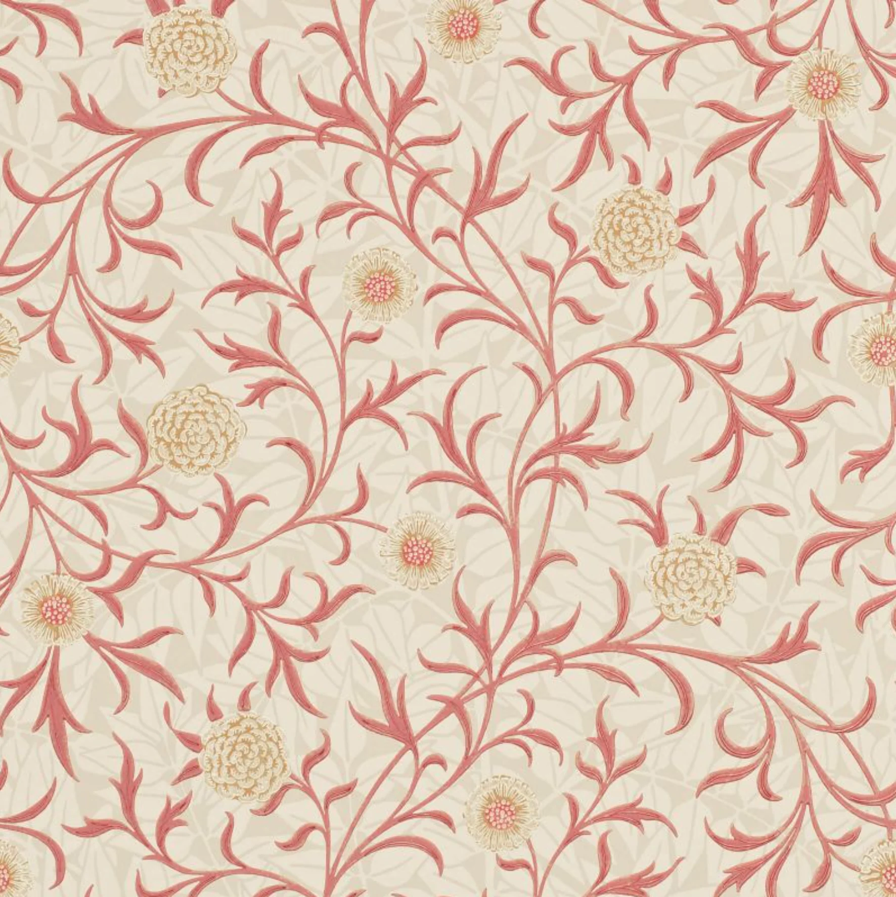 Carta da parati “Scroll” rosa catalogo Morris & Friends a metraggio o rotolo