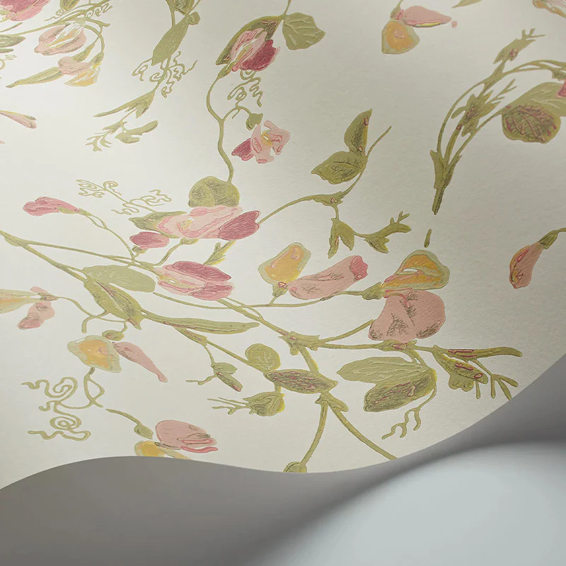 Carta da Parati "SWEET PEA Archive Anthology Coral & Olive on Cream" Botanical | COLE & SON - Image 2