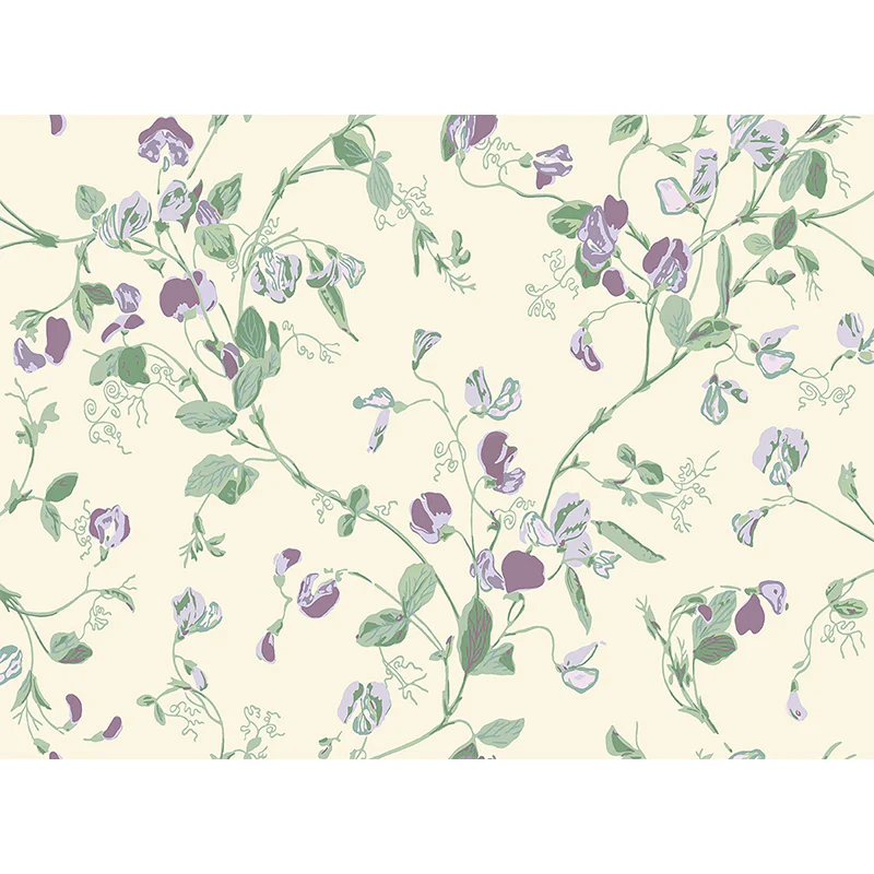 Carta da Parati "SWEET PEA Archive Anthology Mulberry & Sage on Cream" Botanical | COLE & SON