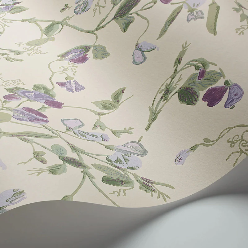 Carta da Parati "SWEET PEA Archive Anthology Mulberry & Sage on Cream" Botanical | COLE & SON - Image 2