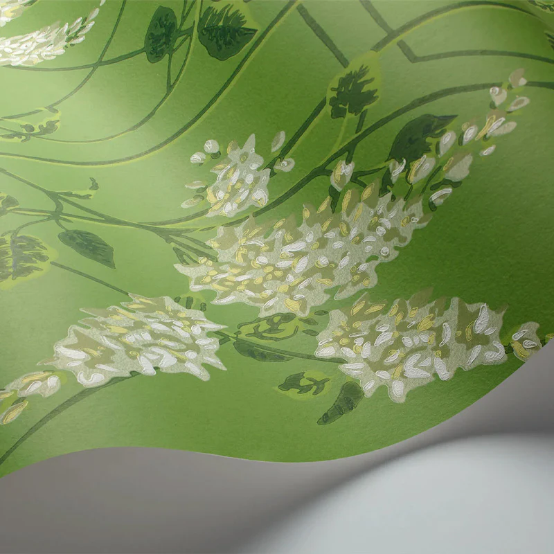 Carta da Parati "WISTERIA VERDE" Botanical | COLE & SON - Image 2