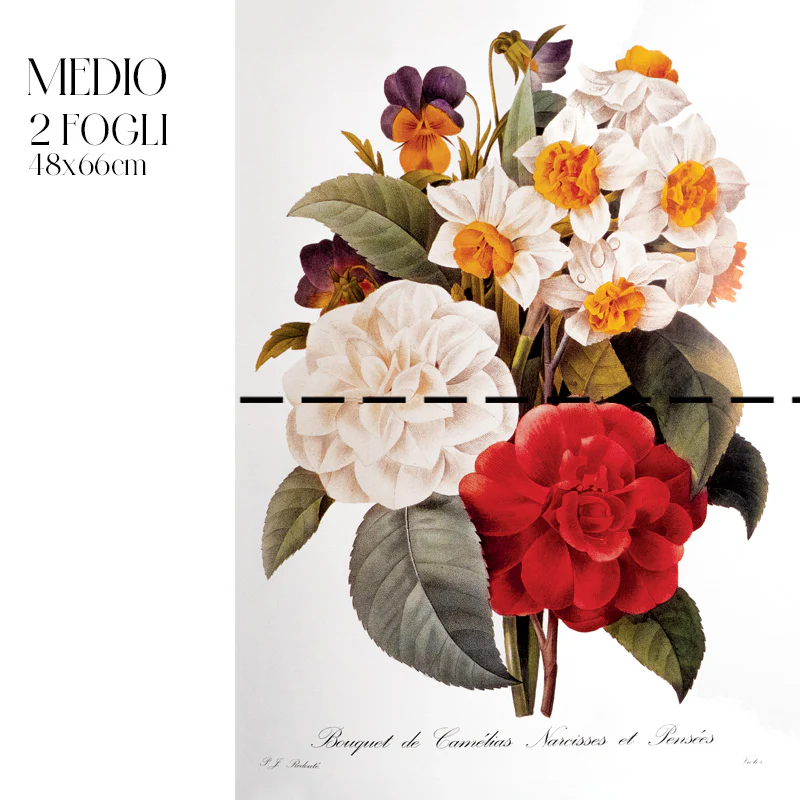 Dècoupage Botanical Vintage - Bouquet di Camelie e Narcisi - Image 4
