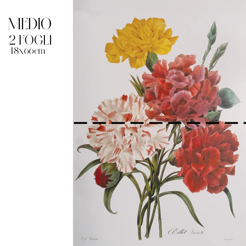 Découpage Botanical Vintage - Peonia Striata - Image 3