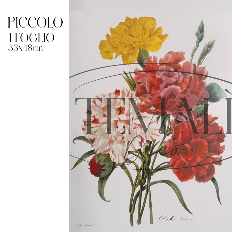 Découpage Botanical Vintage - Peonia Striata - Image 4
