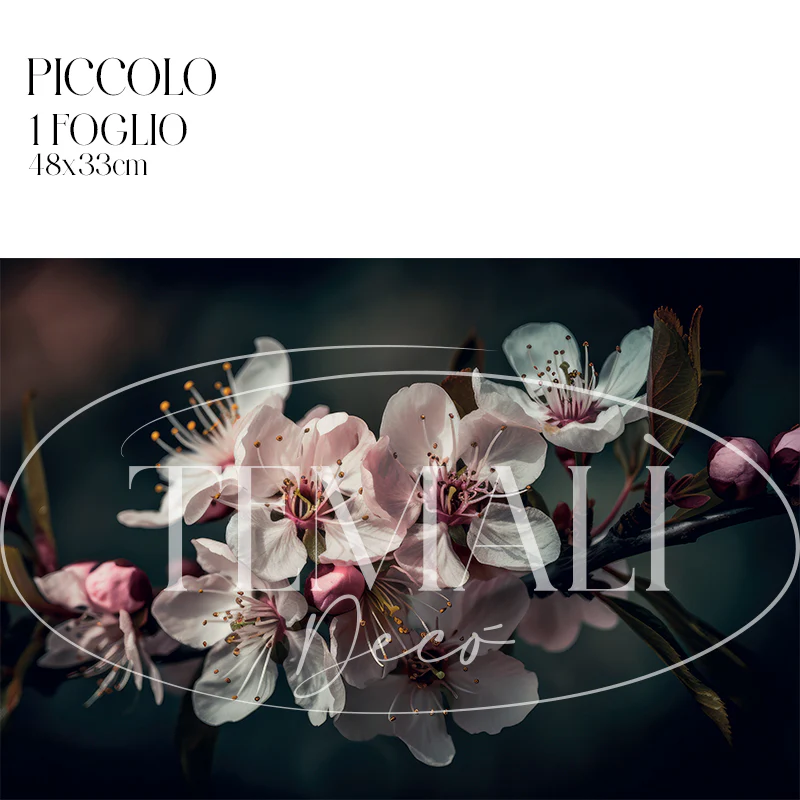 Dècoupage Modern Flora - Fiori di Ciliegio - Image 3