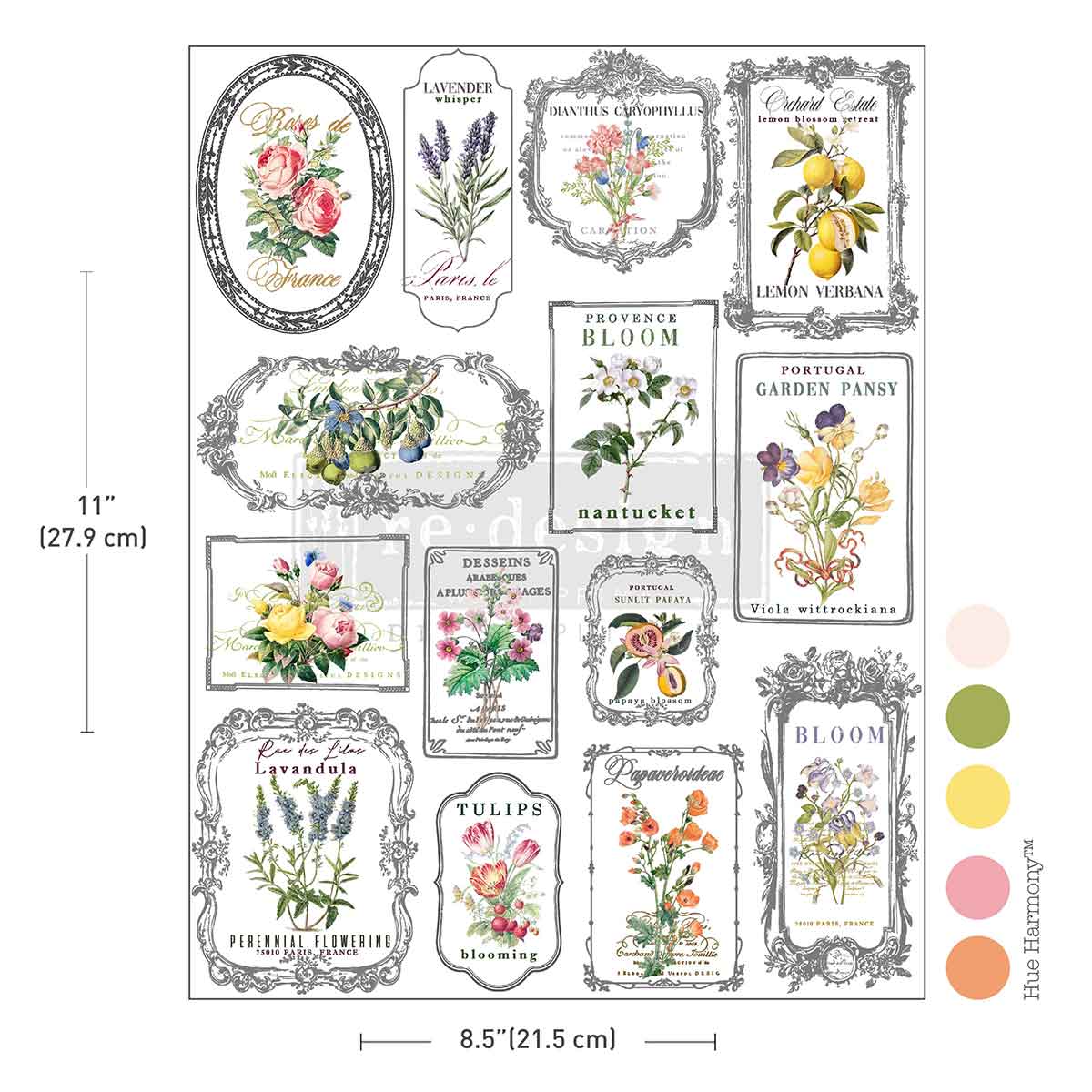 H2O Redesign Decor Transfers "Whispers & Petals" 1 foglio 21,5 x 29,7cm