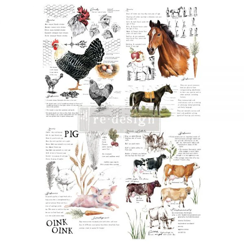 Redesign Decor Transfers "FARM LIFE" 61 x 89 cm