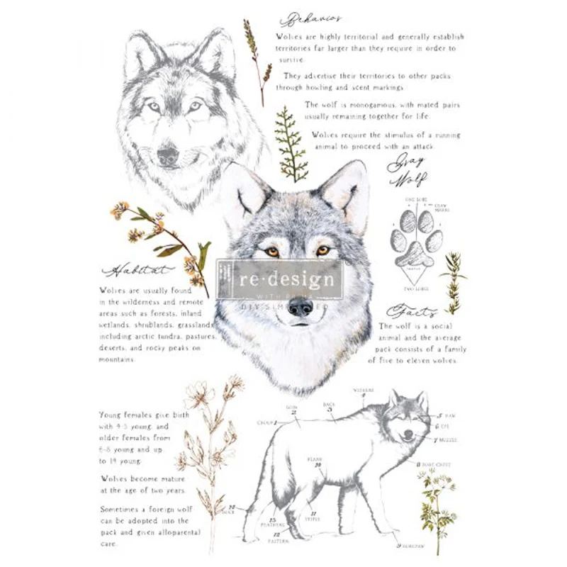Redesign Decor Transfers "GRAY WOLF" 61 x 89 cm