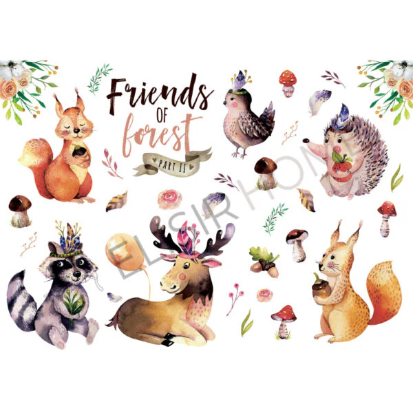 Stampa Trasferibile "BABY, FRIEND OF FOREST" 28x40 cm - Image 2