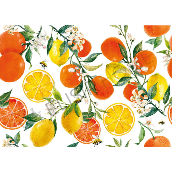 Stampa Trasferibile "FANTASIA, AGRUMI" 28x40 cm - Image 2
