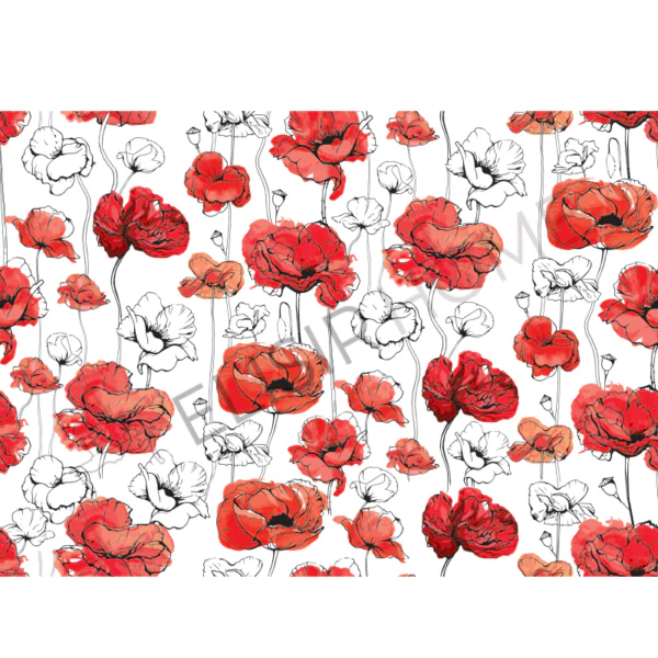 Stampa Trasferibile "FLORA & FAUNA - PAPAVERI" 28x40 cm - Image 2