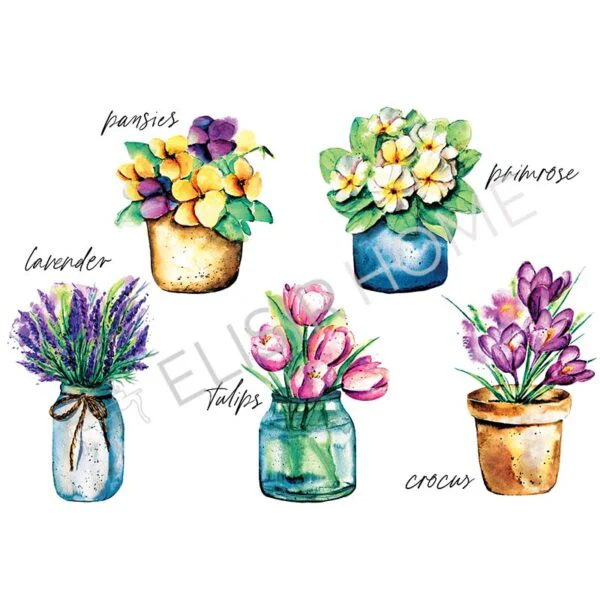 Stampa Trasferibile "PRIMAVERA, FLOWER JAR" 28X40 cm - Image 2