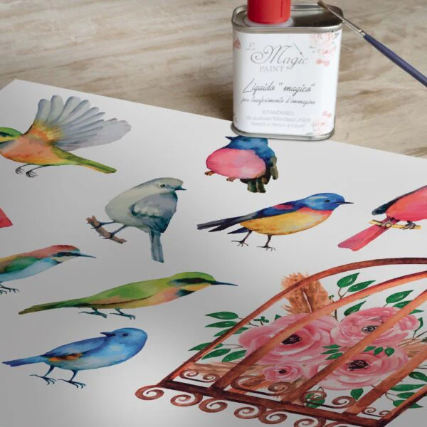 Stampa Trasferibile "PRIMAVERA, RAINBOW BIRDS" 28X40 cm