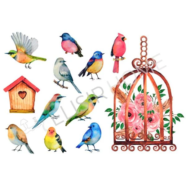 Stampa Trasferibile "PRIMAVERA, RAINBOW BIRDS" 28X40 cm - Image 2
