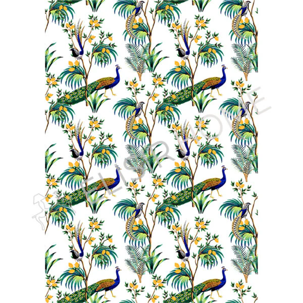 Stampa Trasferibile "SICILY TIME, CITRUS AND PEACOCKS" 28x40 cm - Image 2